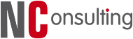 Nielsen Consulting Logo